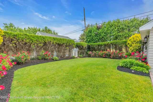 a view of a park with entertaining space