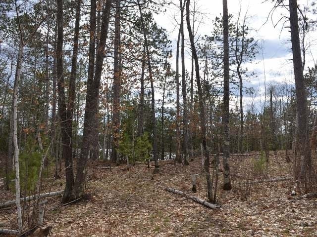 Lot 3 Forrester Road Tomahawk, WI 54487 - Photo 8 of 20 Gallery Image 8