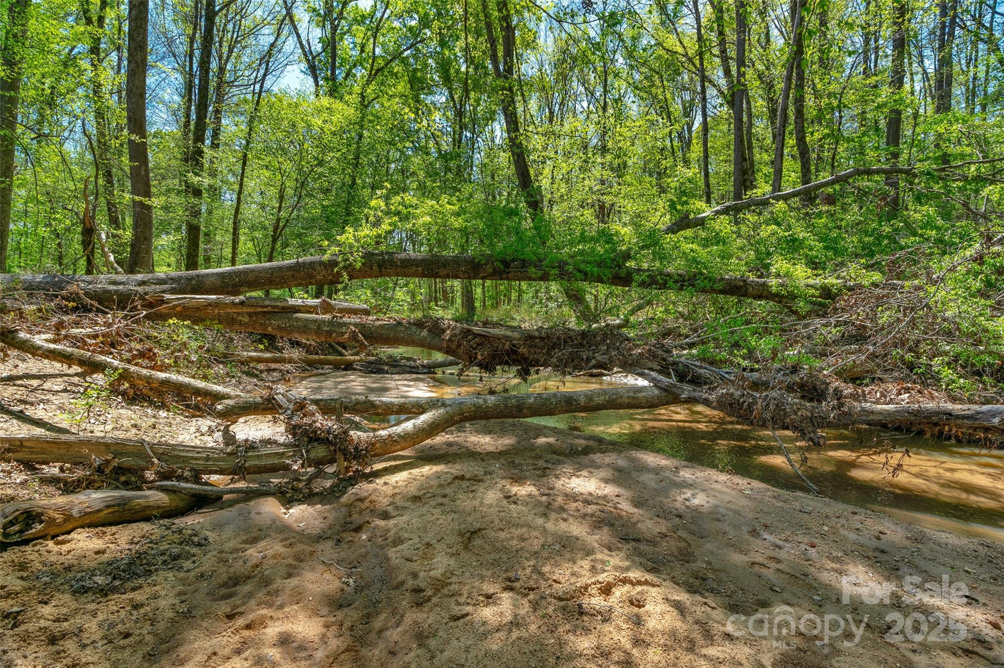 0 Hopewell Church Road Blackstock, SC 29014 - Photo 11 of 45 Gallery Image 11
