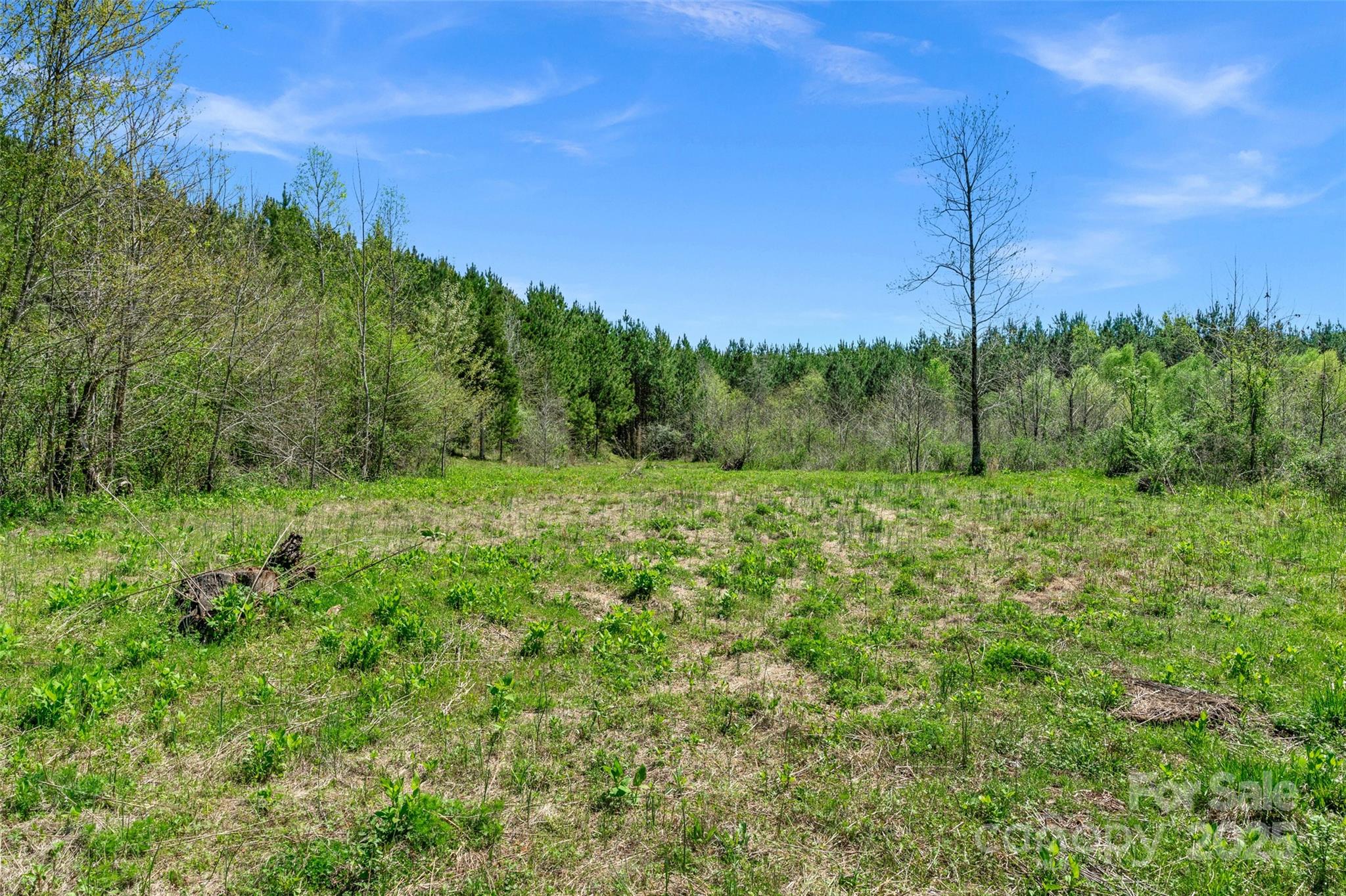 0 Hopewell Church Road Blackstock, SC 29014 - Photo 12 of 45 Gallery Image 12