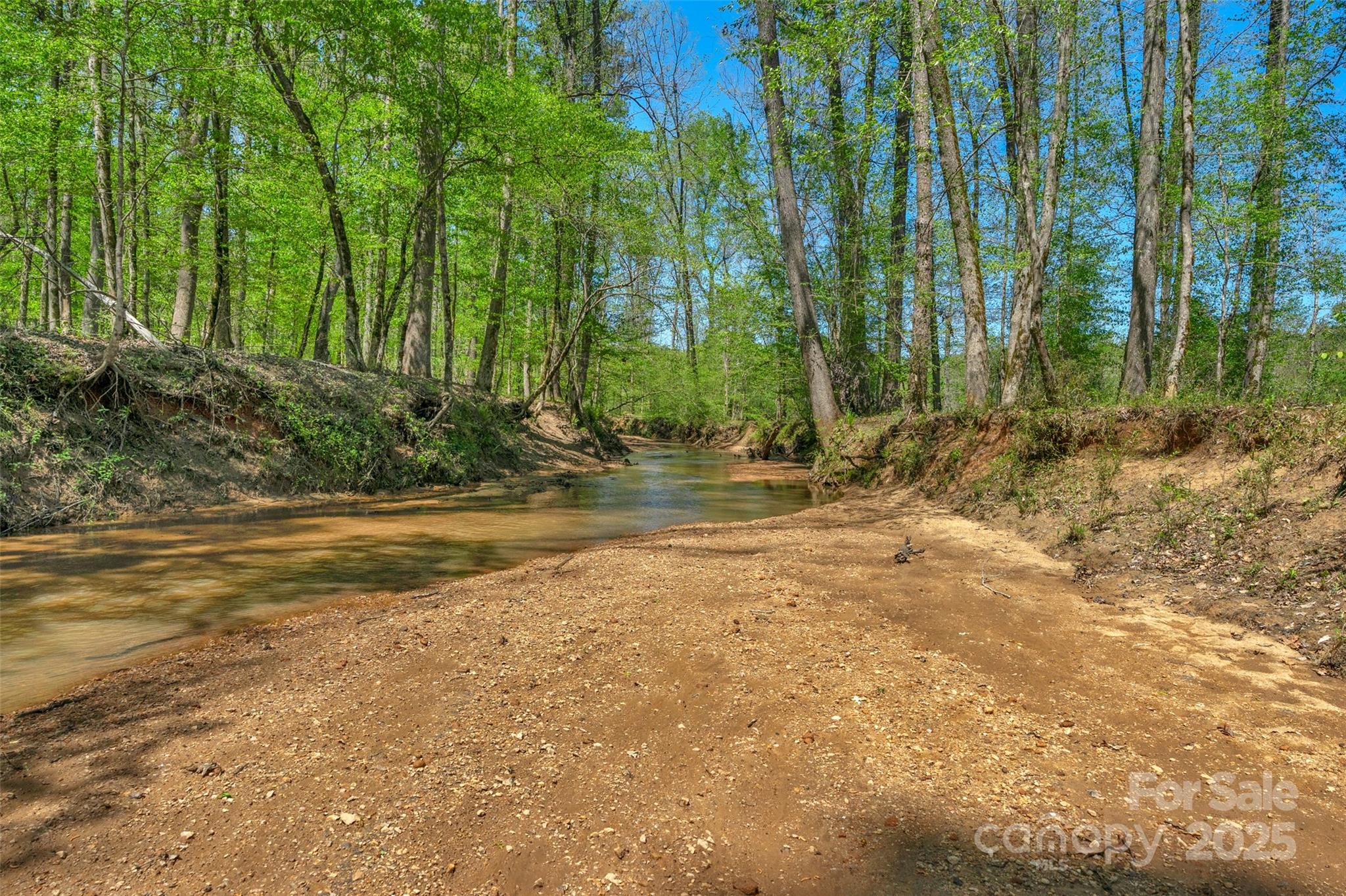 0 Hopewell Church Road Blackstock, SC 29014 - Photo 14 of 45 Gallery Image 14