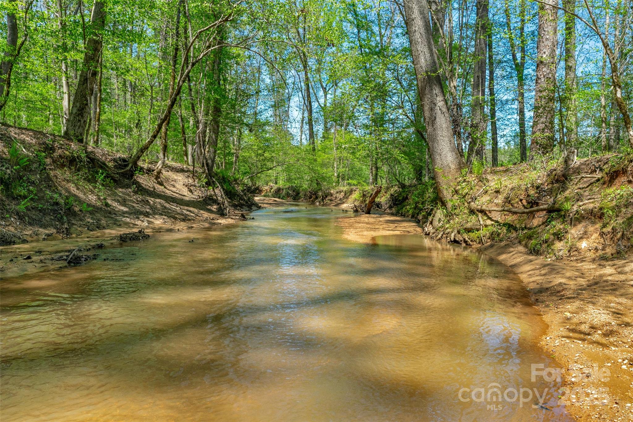 0 Hopewell Church Road Blackstock, SC 29014 - Photo 15 of 45 Gallery Image 15