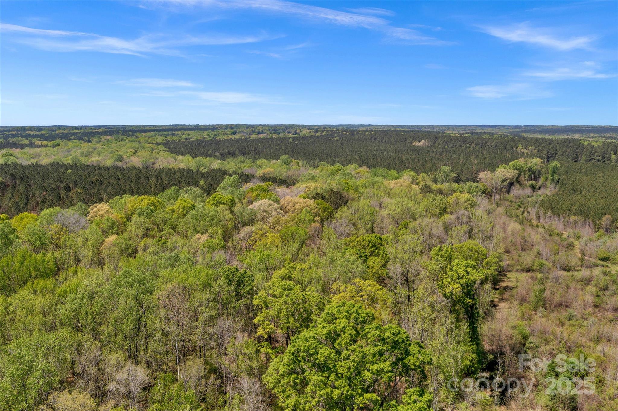 0 Hopewell Church Road Blackstock, SC 29014 - Photo 17 of 45 Gallery Image 17