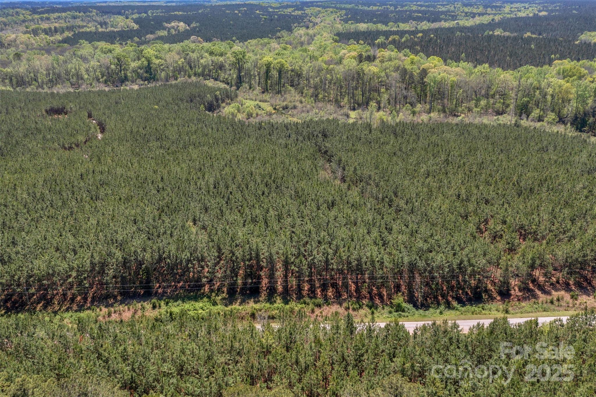 0 Hopewell Church Road Blackstock, SC 29014 - Photo 19 of 45 Gallery Image 19