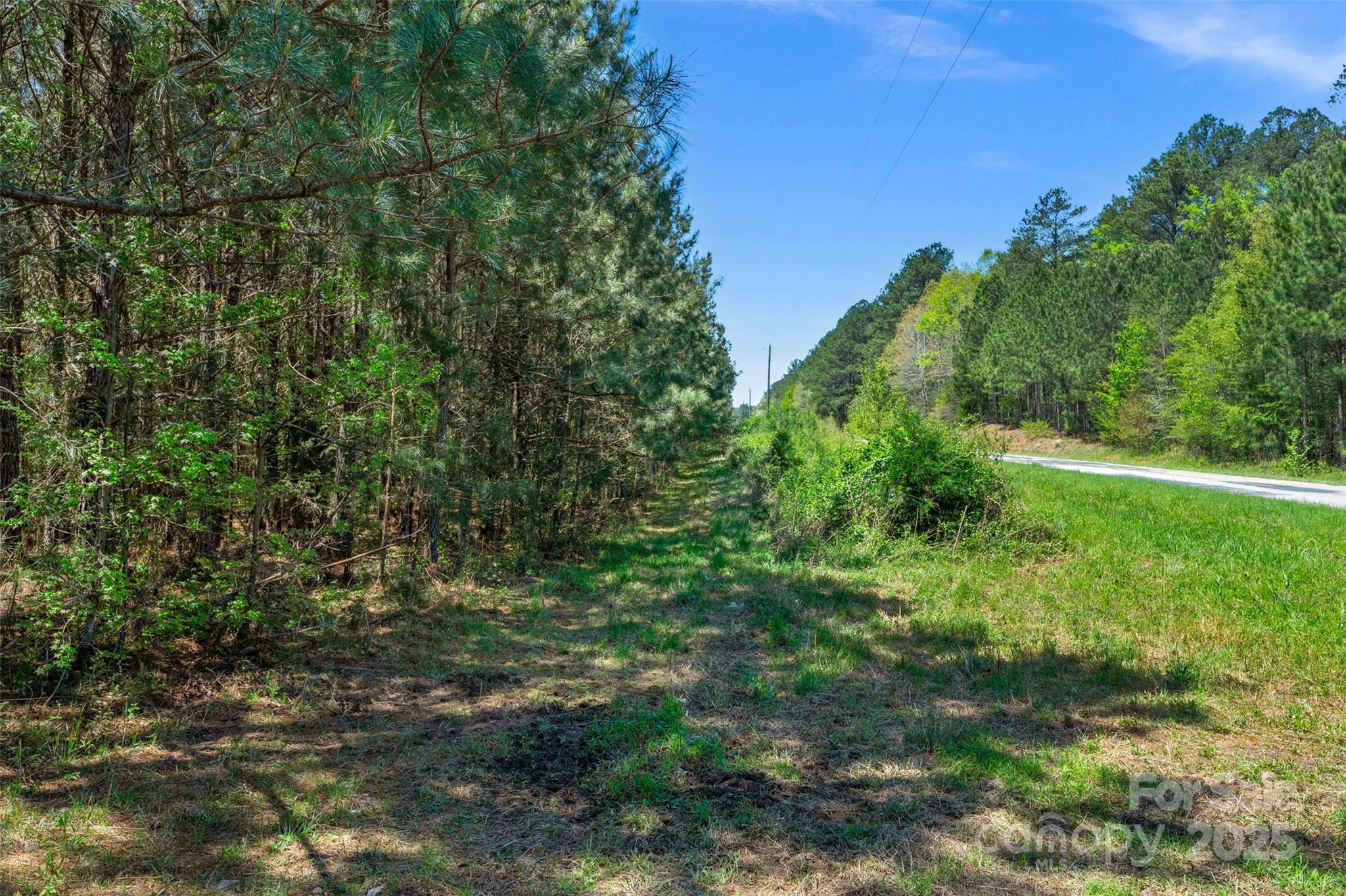 0 Hopewell Church Road Blackstock, SC 29014 - Photo 20 of 45 Gallery Image 20