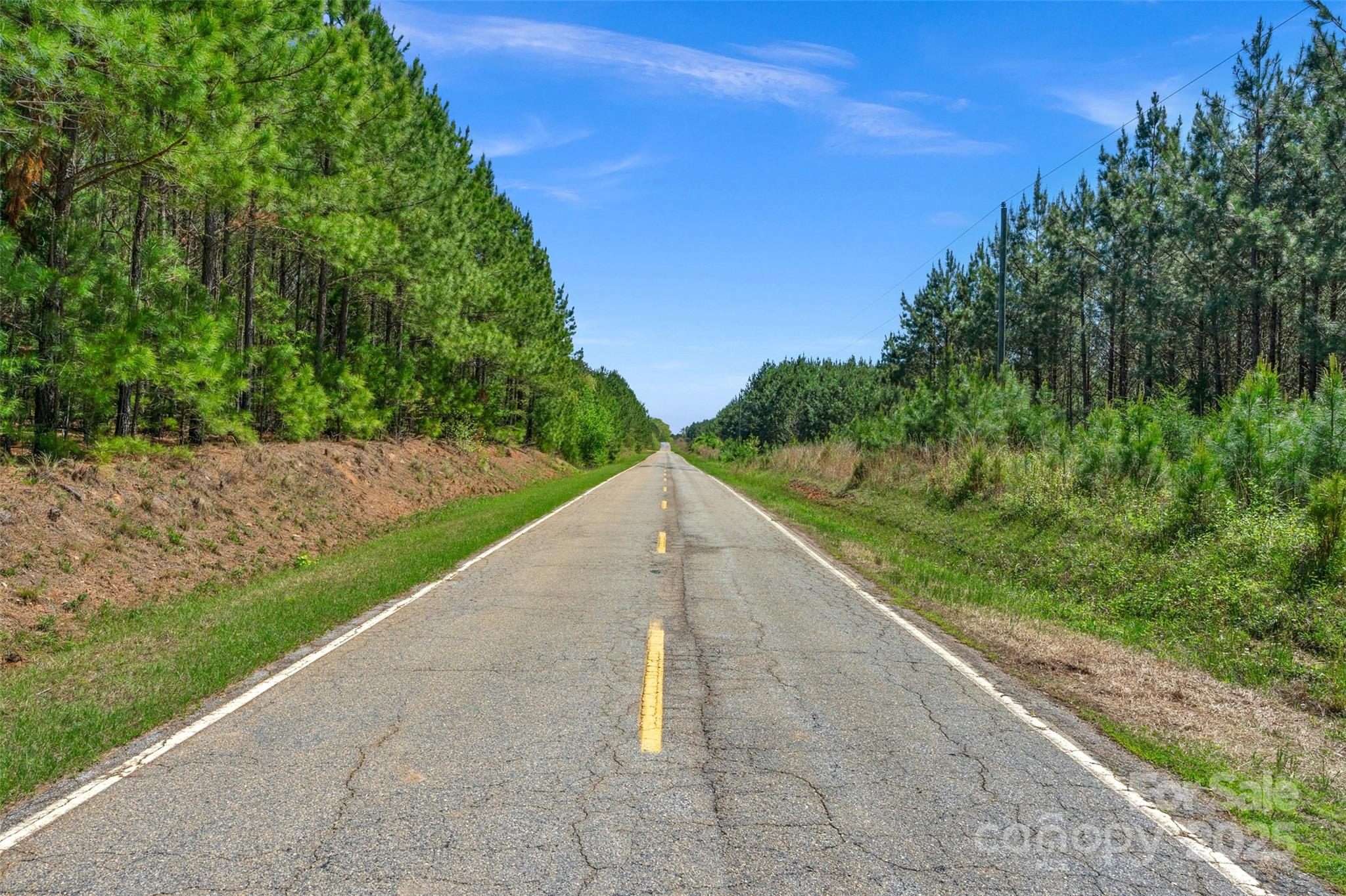 0 Hopewell Church Road Blackstock, SC 29014 - Photo 21 of 45 Gallery Image 21