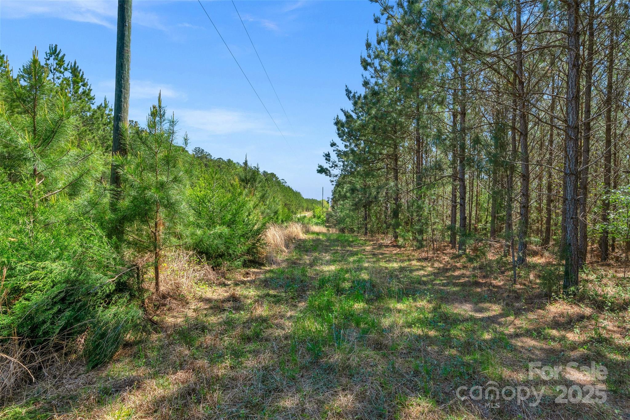 0 Hopewell Church Road Blackstock, SC 29014 - Photo 22 of 45 Gallery Image 22