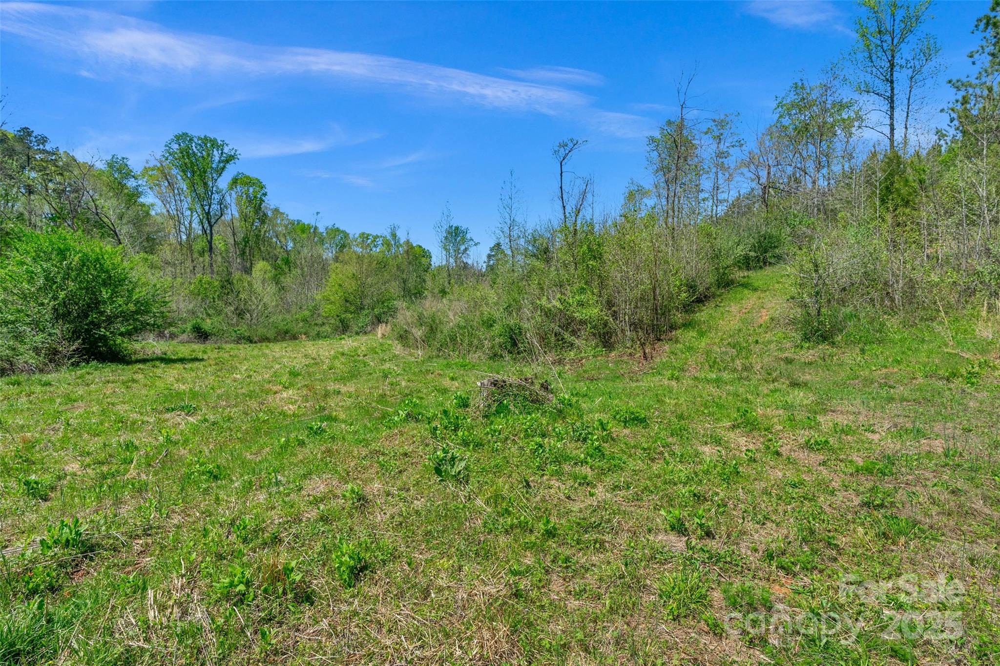 0 Hopewell Church Road Blackstock, SC 29014 - Photo 23 of 45 Gallery Image 23