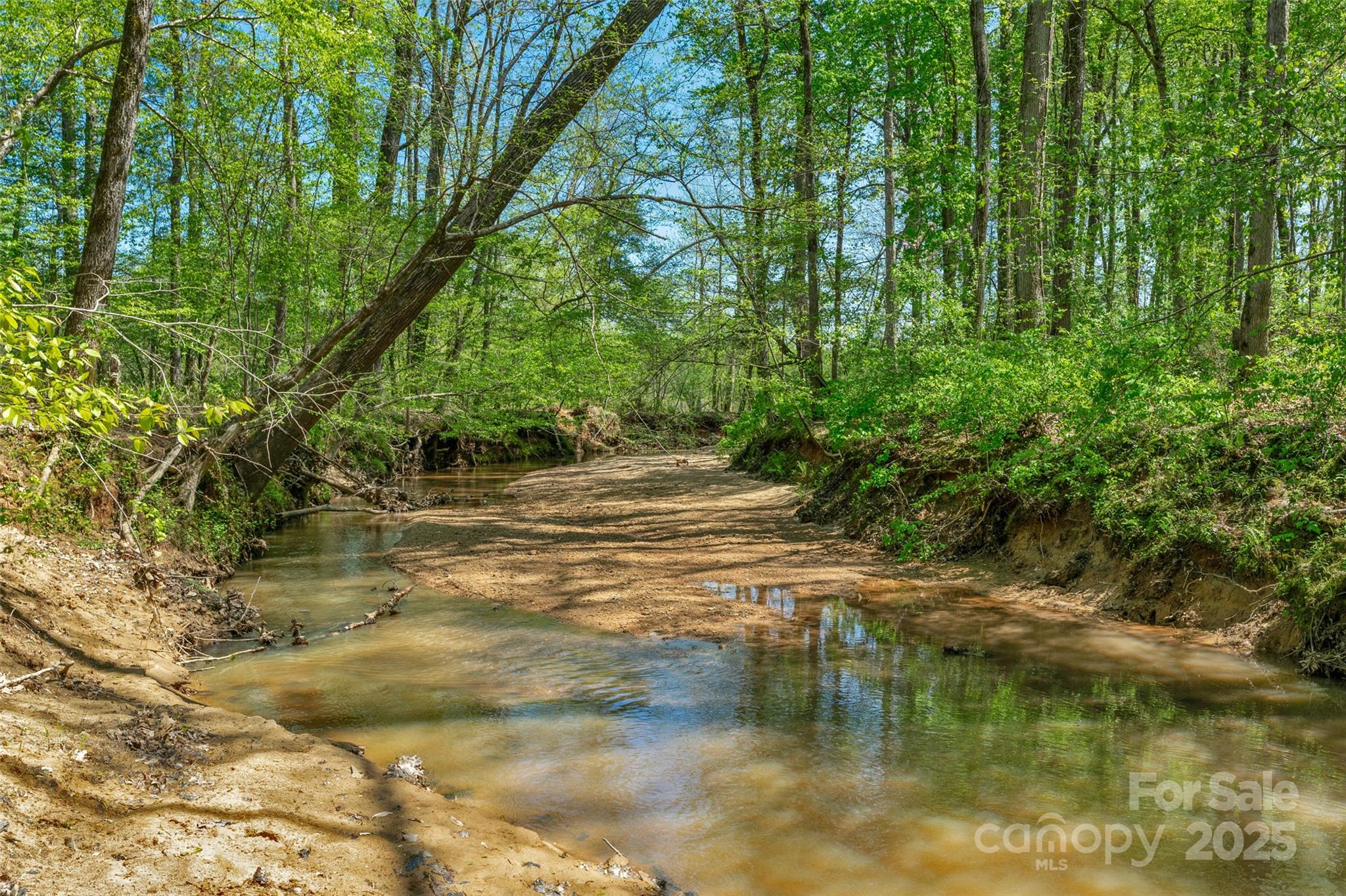 0 Hopewell Church Road Blackstock, SC 29014 - Photo 24 of 45 Gallery Image 24