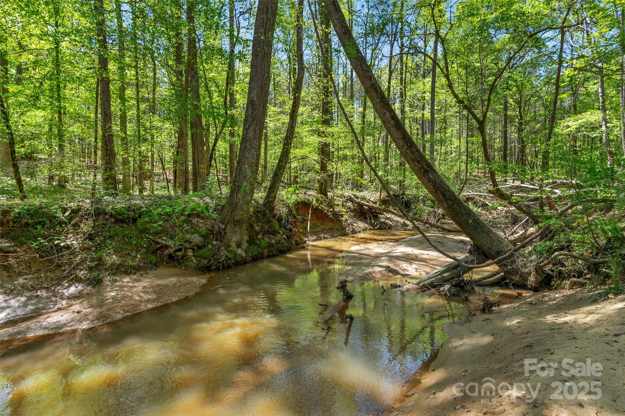 0 Hopewell Church Road Blackstock, SC 29014 - Photo 25 of 45 Gallery Image 25