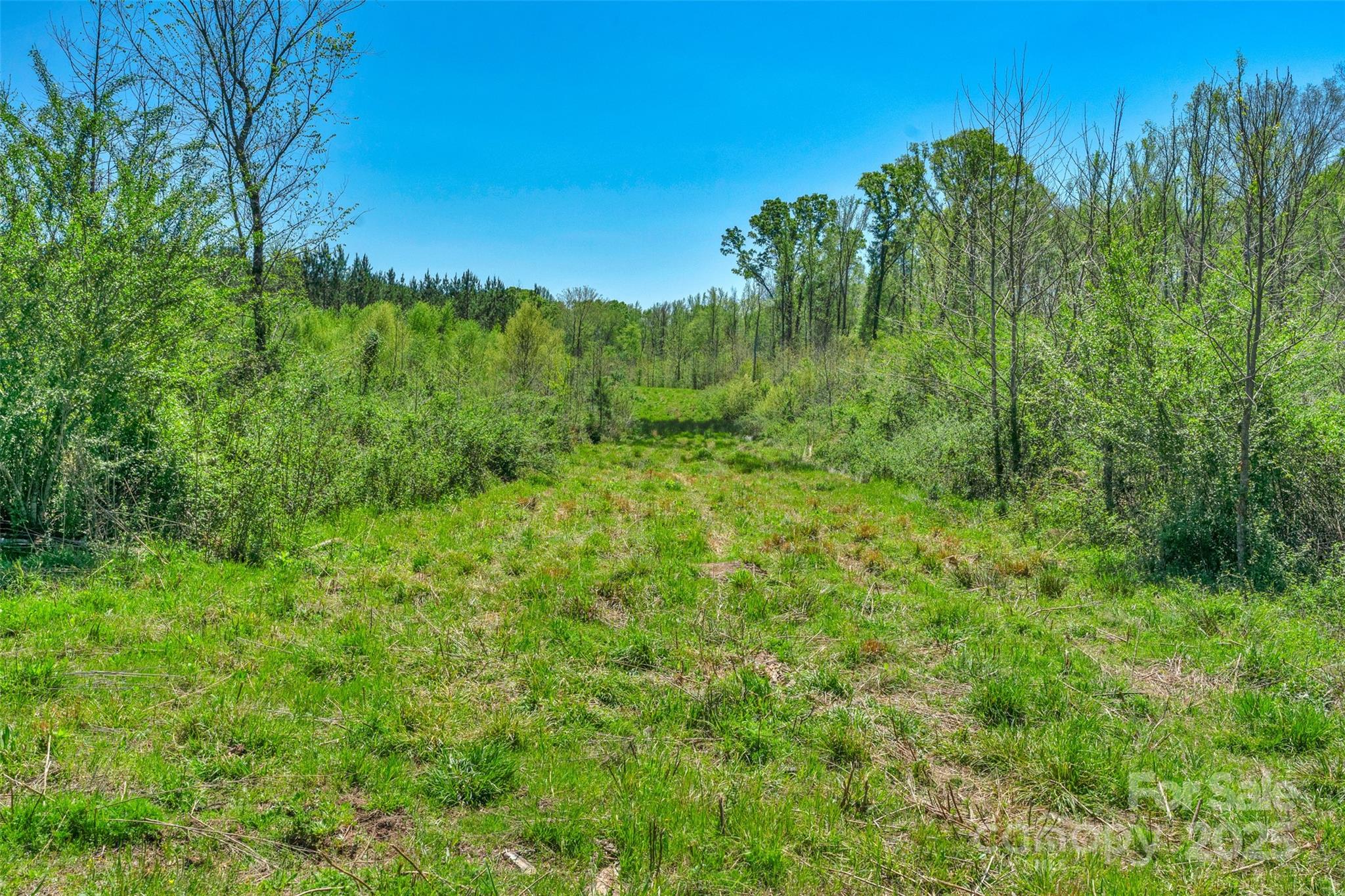 0 Hopewell Church Road Blackstock, SC 29014 - Photo 26 of 45 Gallery Image 26