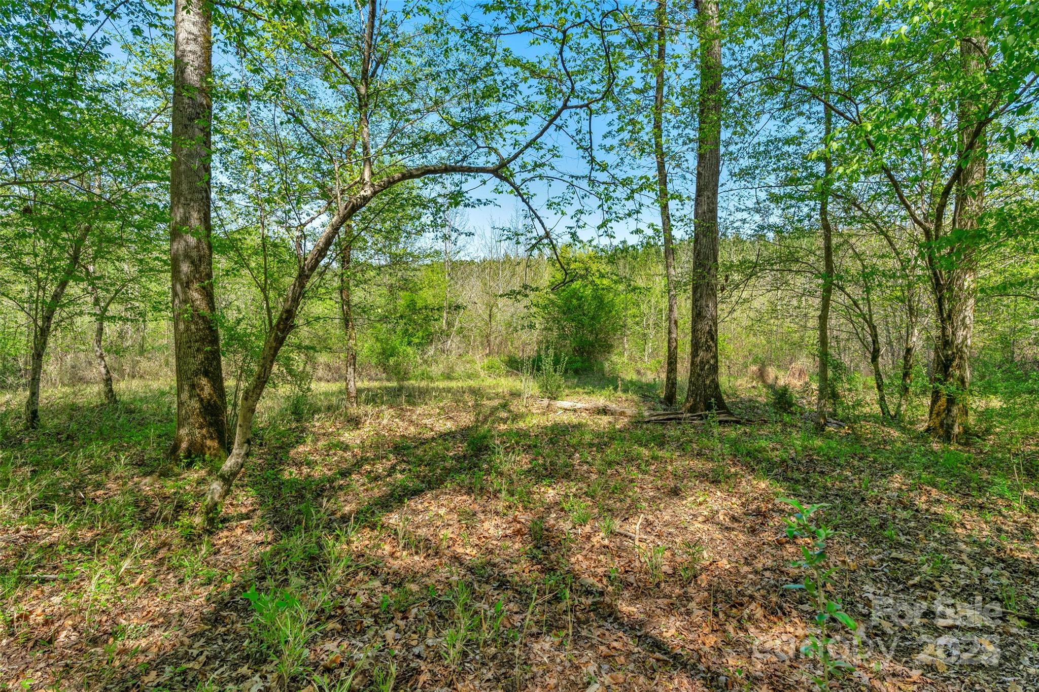 0 Hopewell Church Road Blackstock, SC 29014 - Photo 27 of 45 Gallery Image 27
