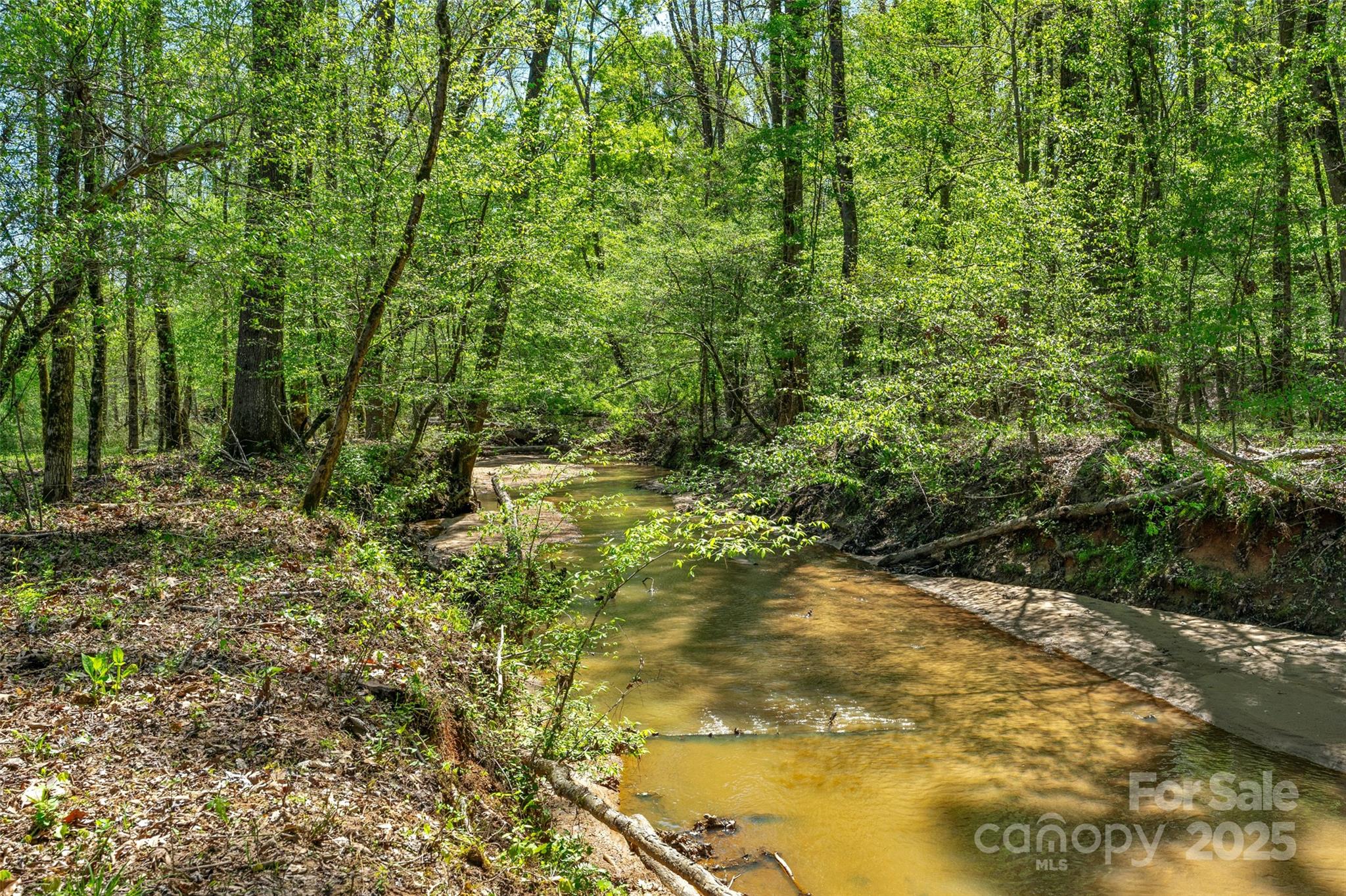 0 Hopewell Church Road Blackstock, SC 29014 - Photo 28 of 45 Gallery Image 28