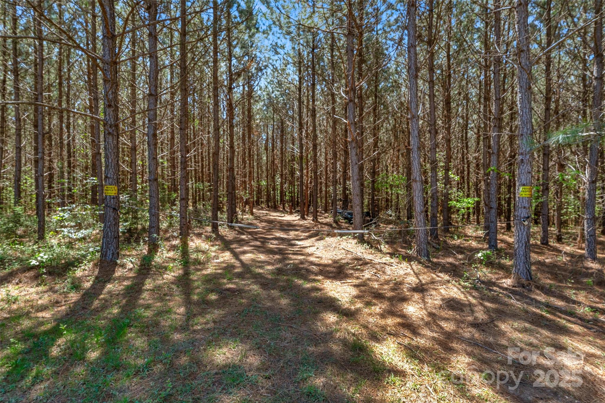 0 Hopewell Church Road Blackstock, SC 29014 - Photo 29 of 45 Gallery Image 29