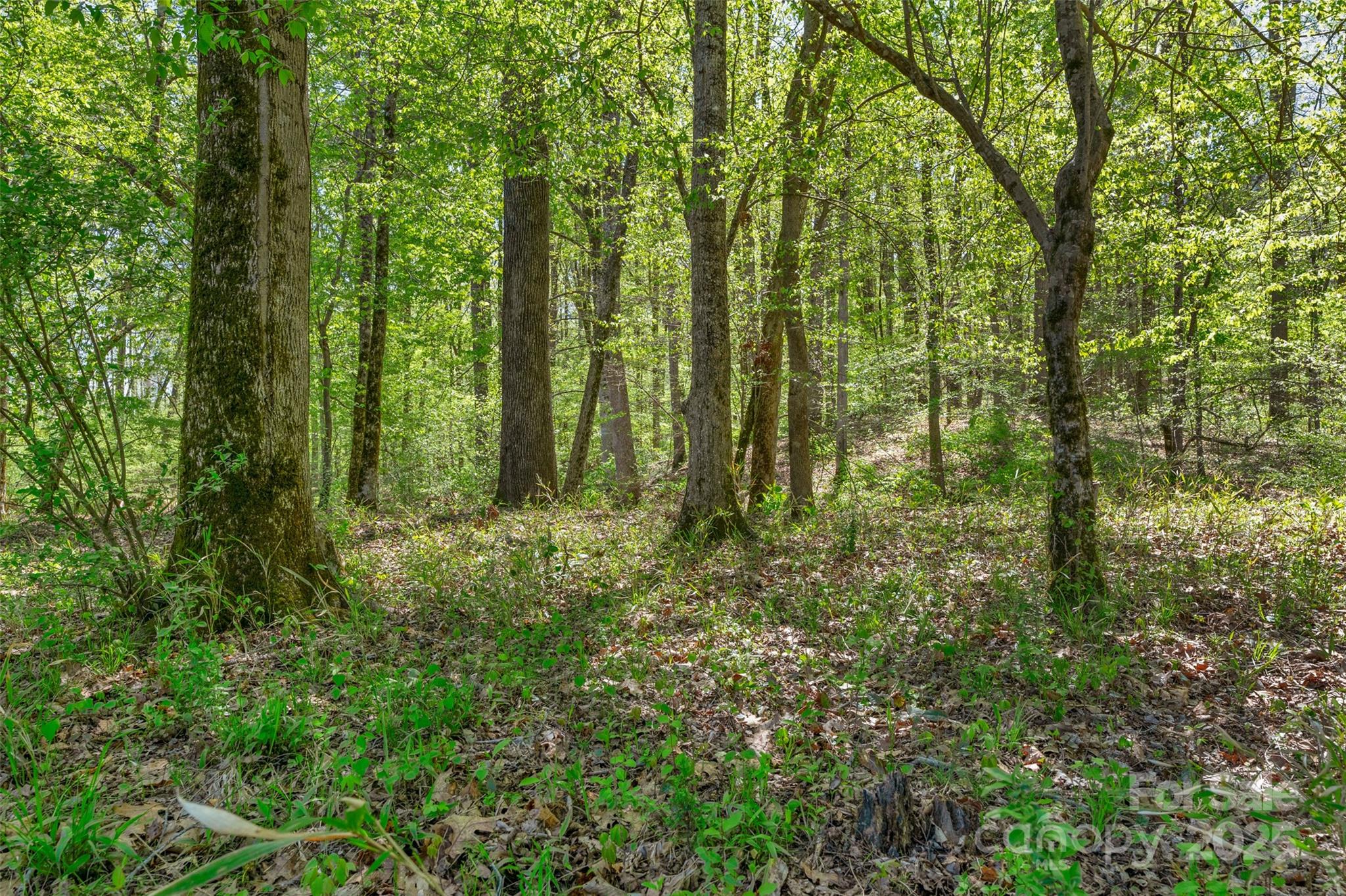 0 Hopewell Church Road Blackstock, SC 29014 - Photo 30 of 45 Gallery Image 30