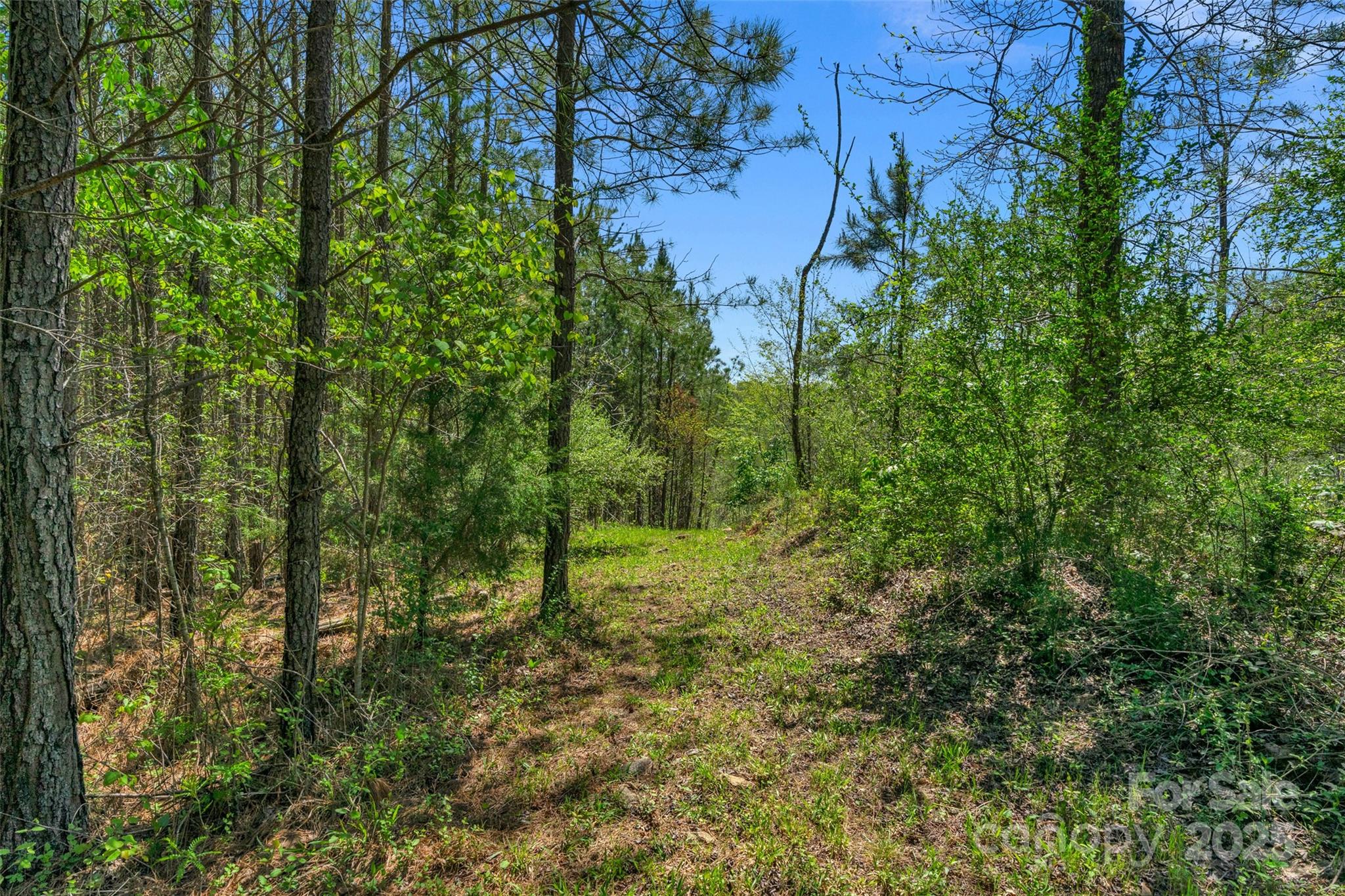 0 Hopewell Church Road Blackstock, SC 29014 - Photo 32 of 45 Gallery Image 32