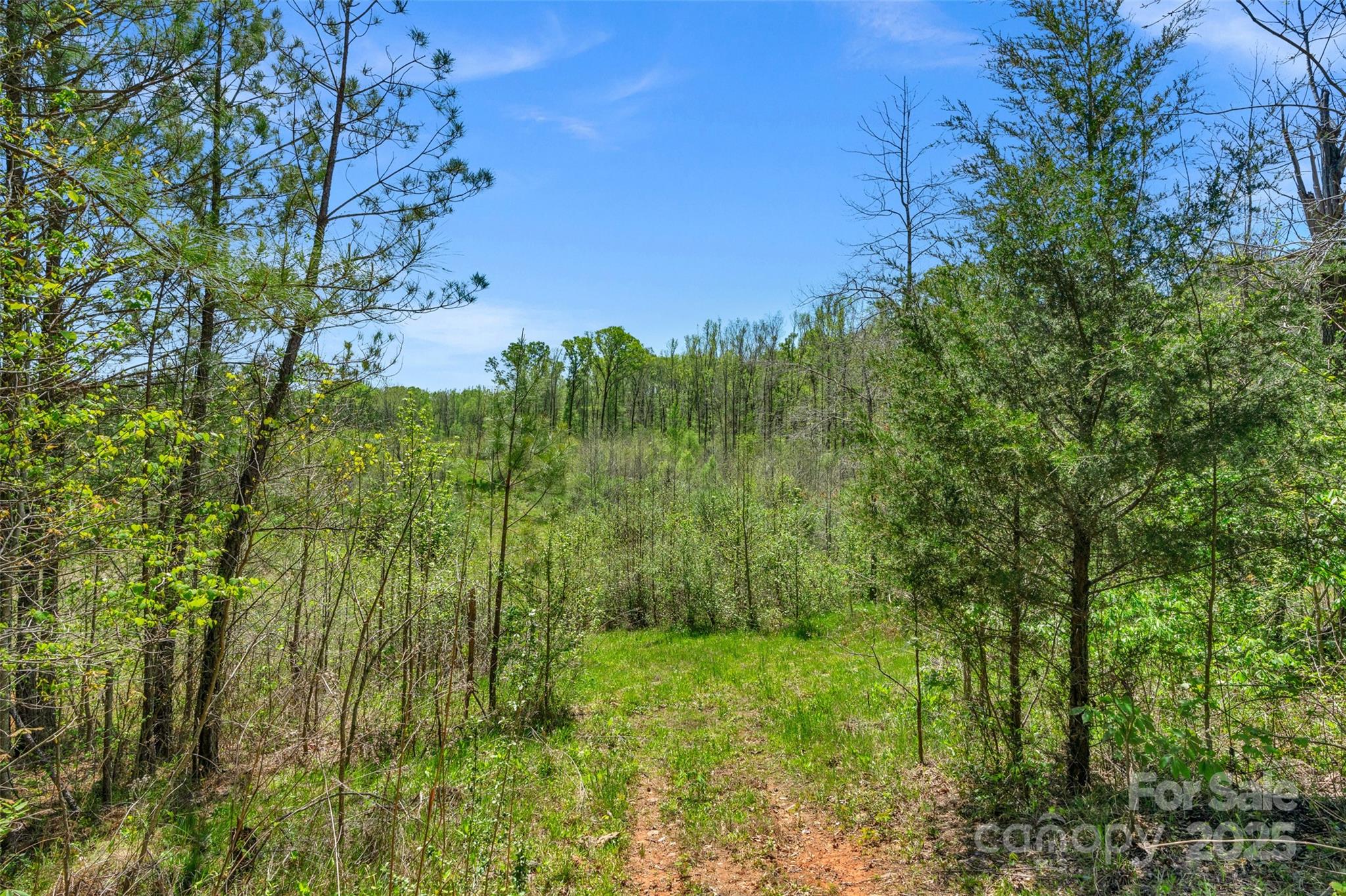 0 Hopewell Church Road Blackstock, SC 29014 - Photo 33 of 45 Gallery Image 33