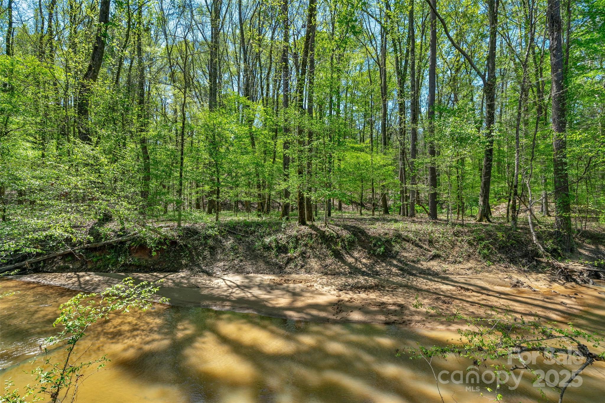 0 Hopewell Church Road Blackstock, SC 29014 - Photo 35 of 45 Gallery Image 35