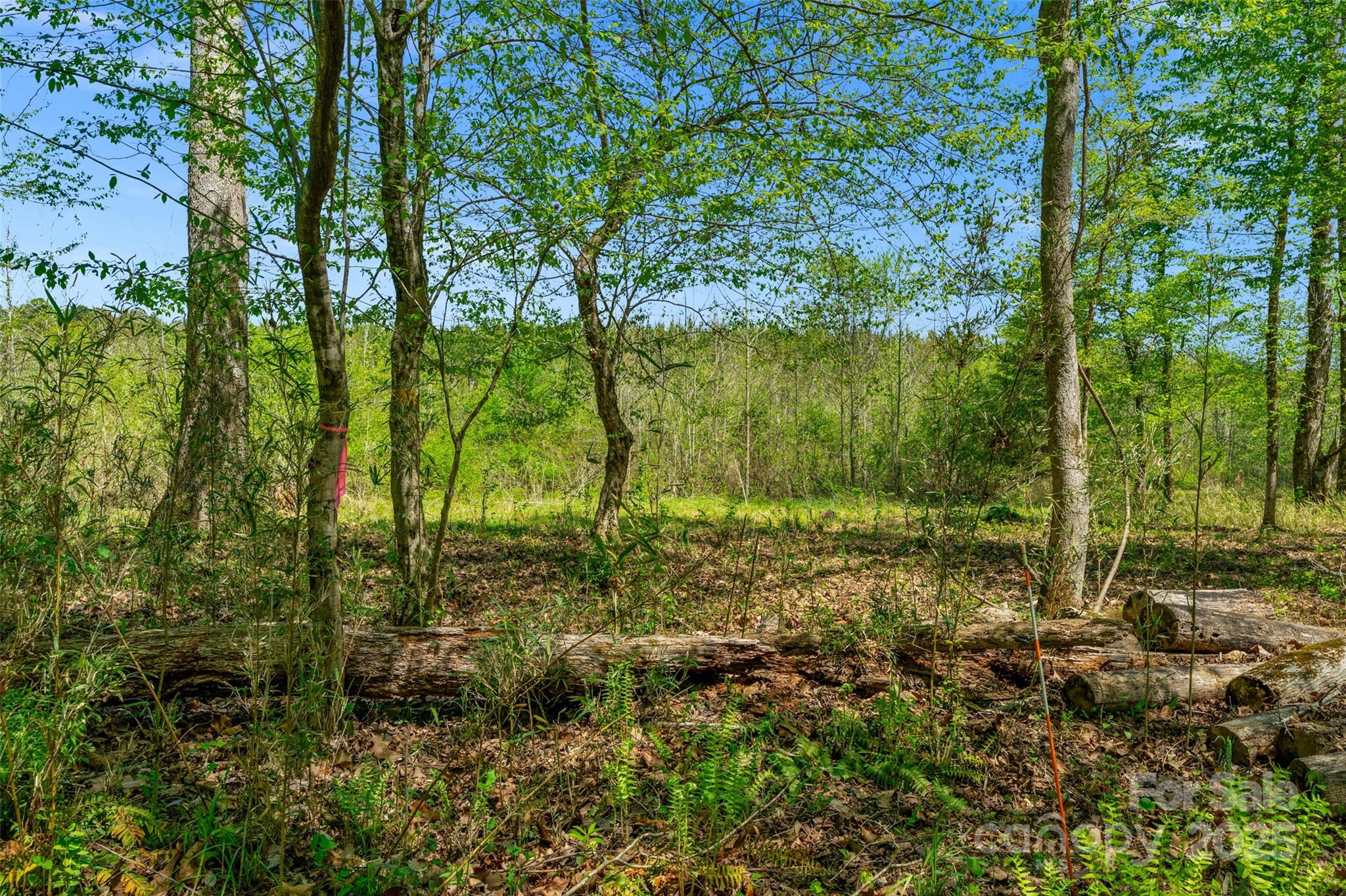 0 Hopewell Church Road Blackstock, SC 29014 - Photo 36 of 45 Gallery Image 36