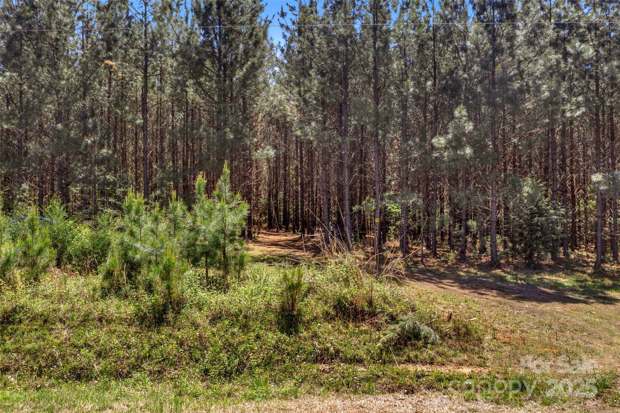 0 Hopewell Church Road Blackstock, SC 29014 - Photo 40 of 45 Gallery Image 40