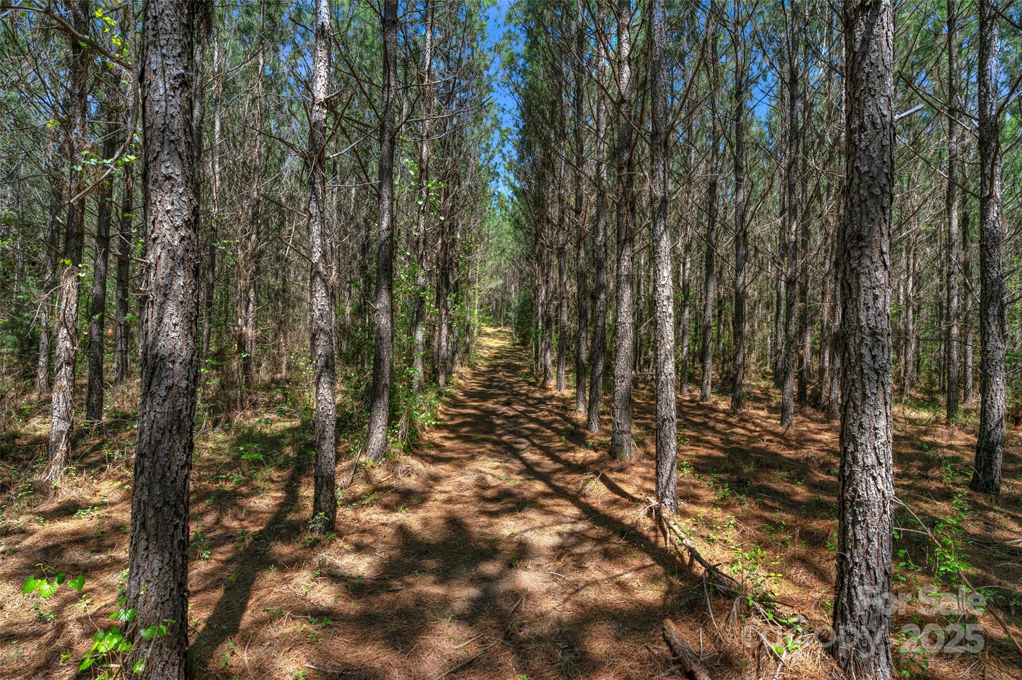 0 Hopewell Church Road Blackstock, SC 29014 - Photo 41 of 45 Gallery Image 41