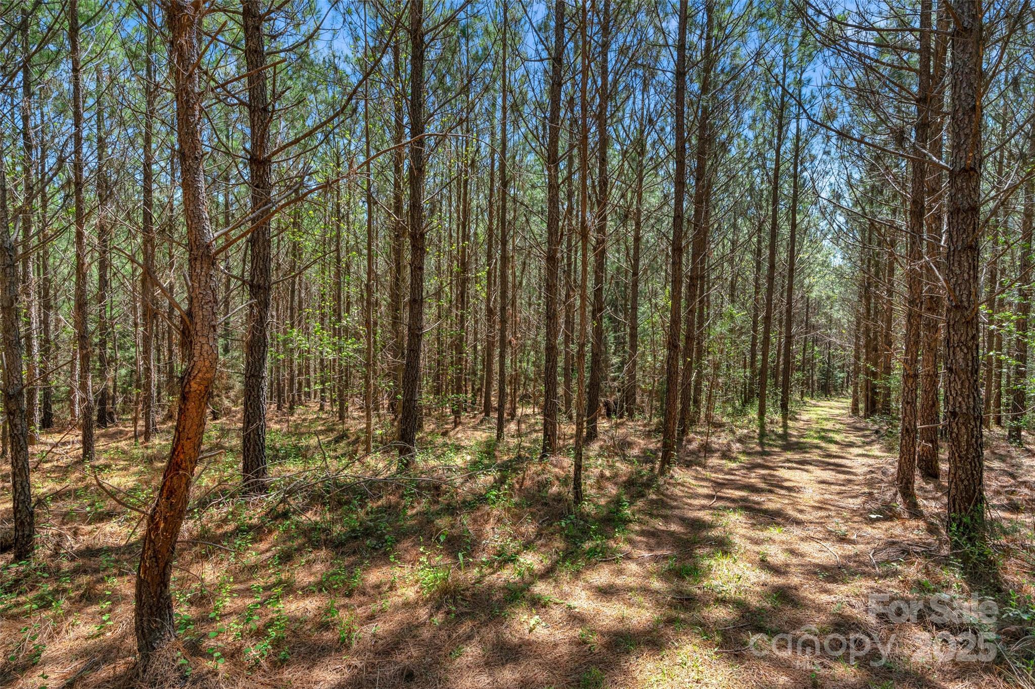 0 Hopewell Church Road Blackstock, SC 29014 - Photo 44 of 45 Gallery Image 44