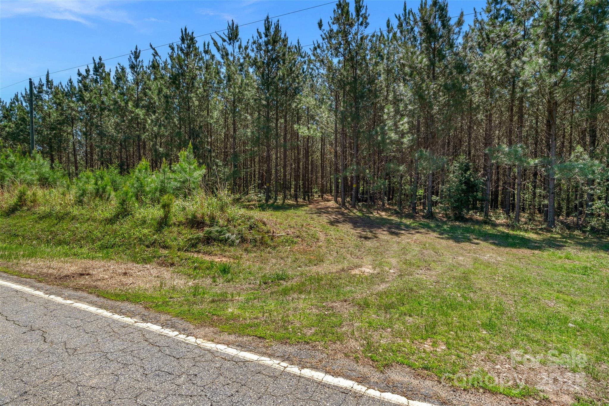 0 Hopewell Church Road Blackstock, SC 29014 - Photo 7 of 45 Gallery Image 7