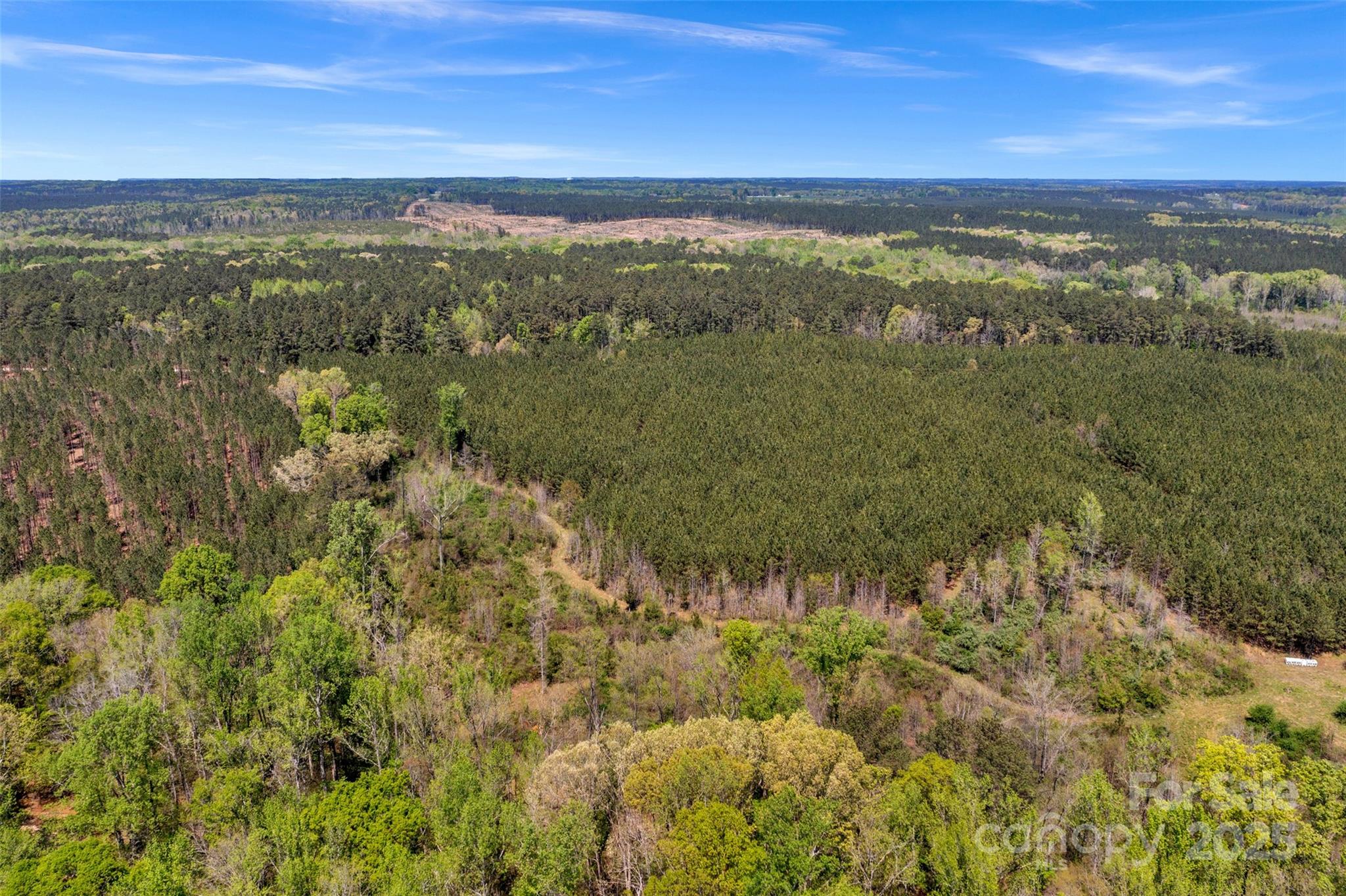 0 Hopewell Church Road Blackstock, SC 29014 - Photo 8 of 45 Gallery Image 8