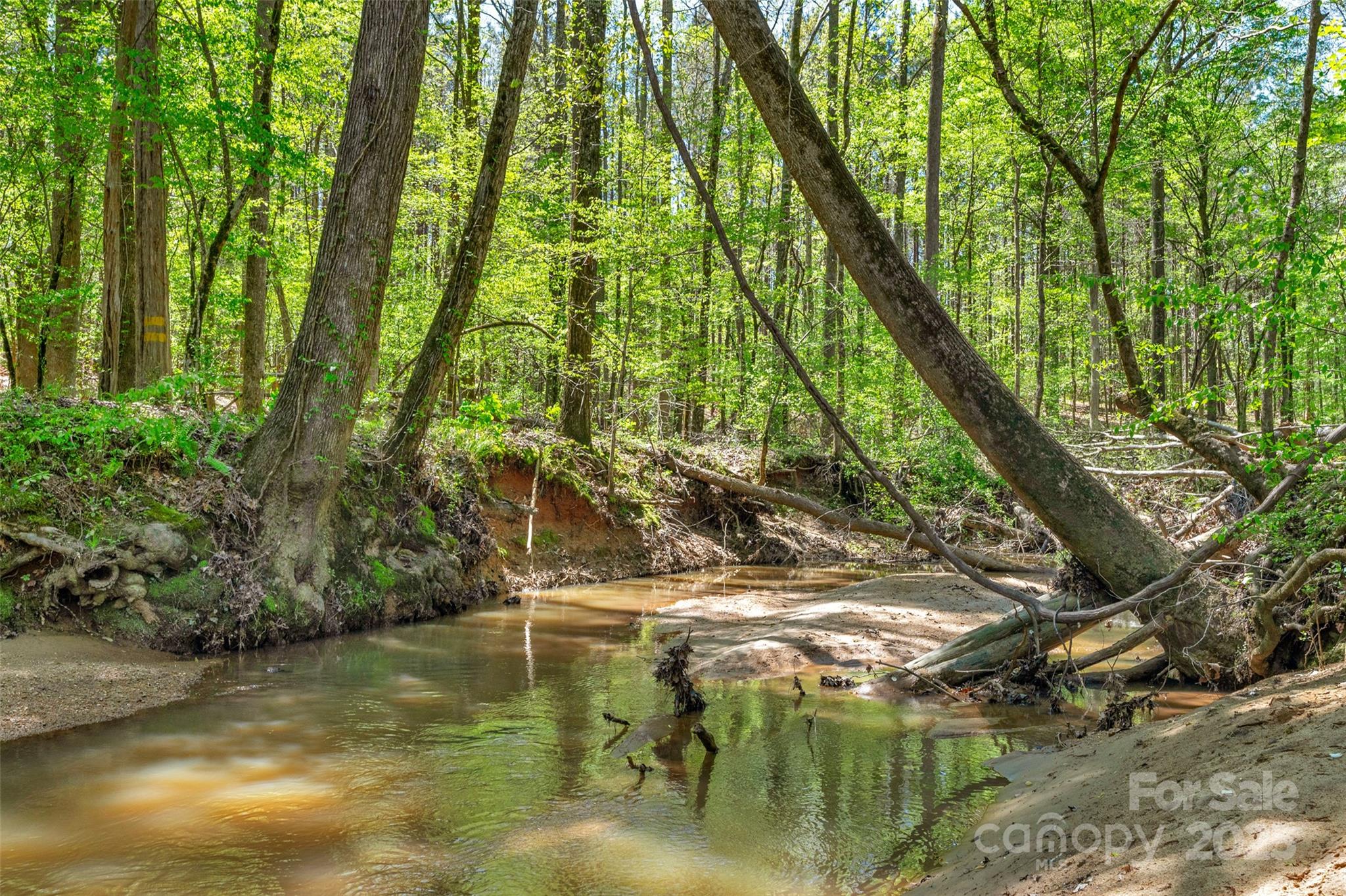 0 Hopewell Church Road Blackstock, SC 29014 - Photo 9 of 45 Gallery Image 9