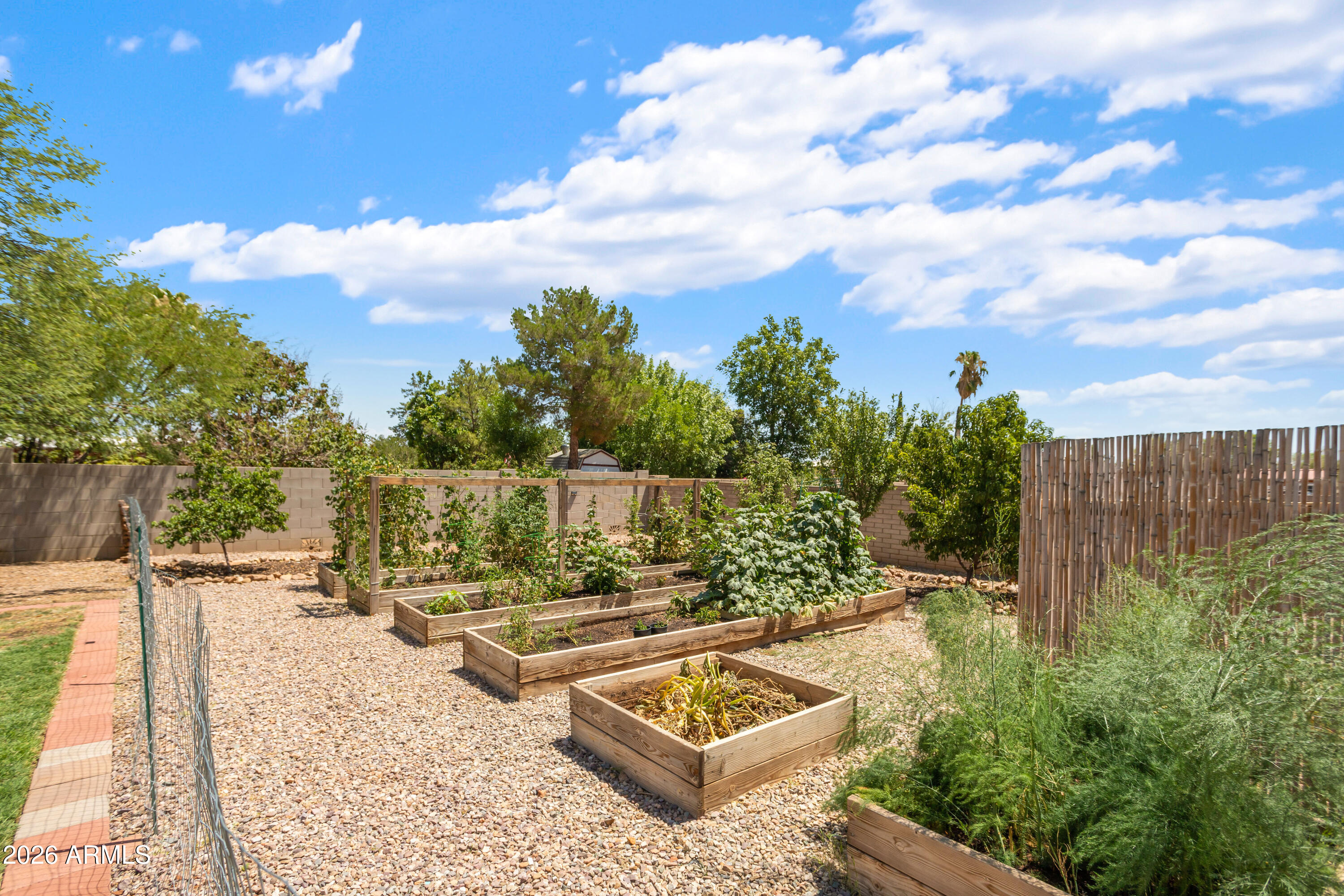 805 Suffolk Road Sierra Vista, AZ 85635 - Photo 48 of 49 raised flower beds