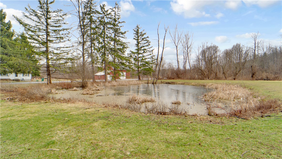 606 County Road 9 Victor, NY 14564 - Photo 45 of 49