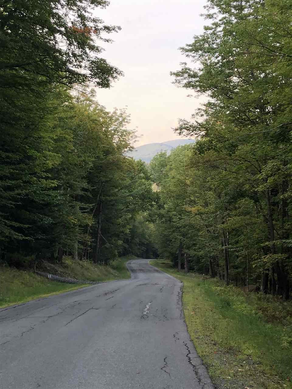Lot#5 Branch Hill Road, Unit LOT #5 Readsboro, VT 05350 - Photo 3 of 5