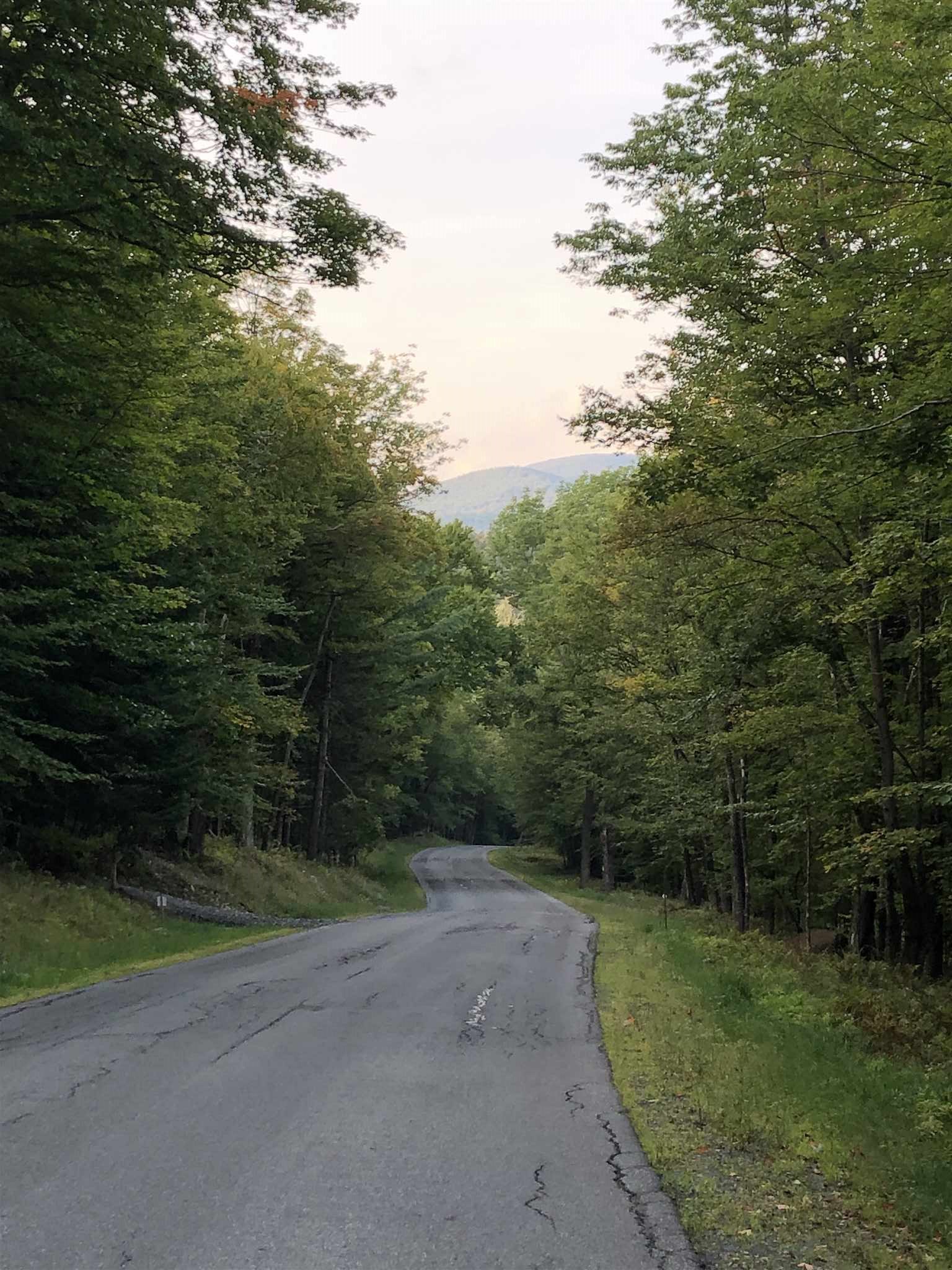 Lot#5 Branch Hill Road, Unit LOT #5 Readsboro, VT 05350 - Photo 4 of 5