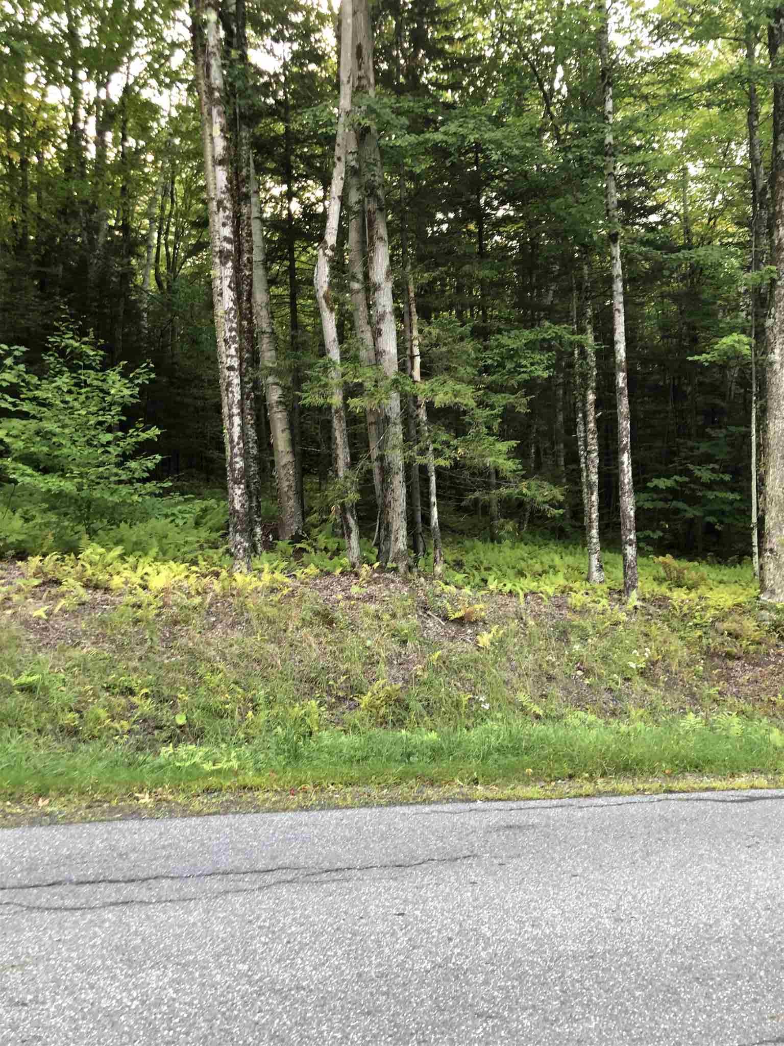 Lot#5 Branch Hill Road, Unit LOT #5 Readsboro, VT 05350 - Photo 5 of 5