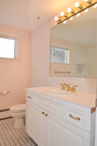 a bathroom with a sink a toilet and vanity
