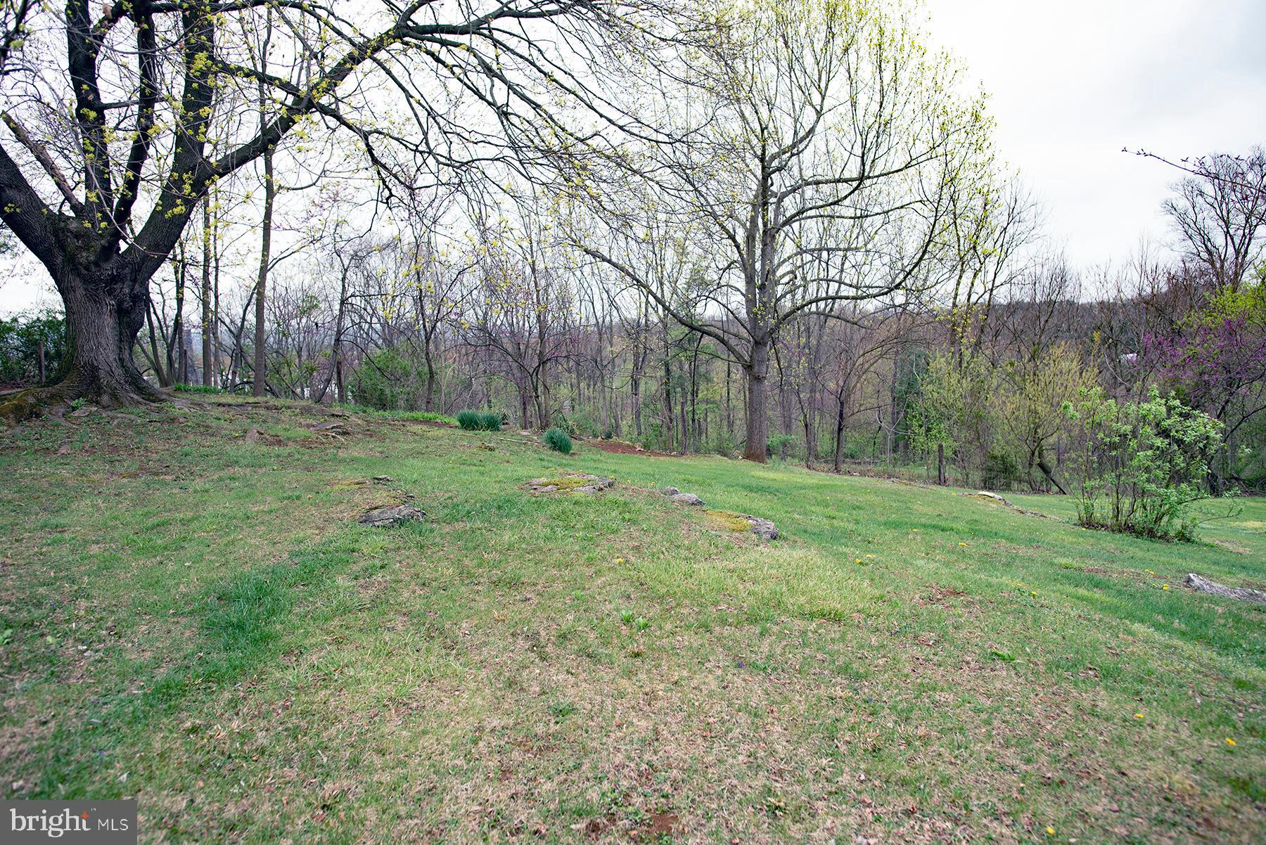8313 Barnes Road Boonsboro, MD 21713 - Photo 21 of 24 Backyard