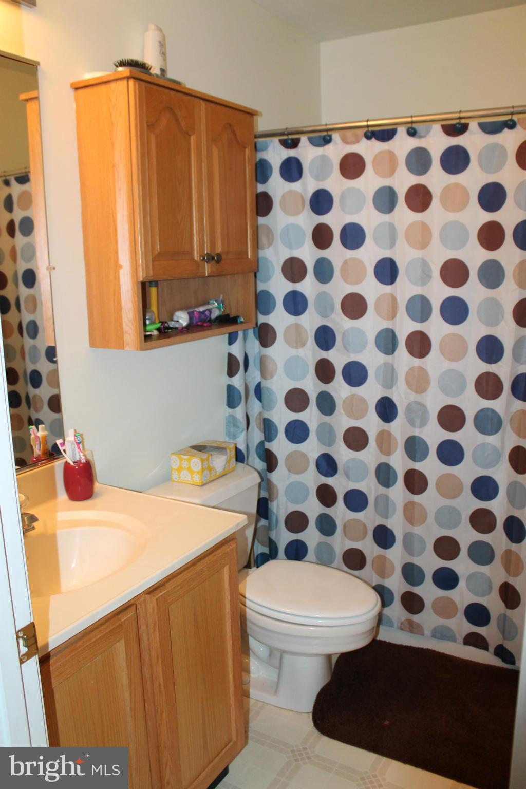 209 Robelei Drive Ranson, WV 25438 - Photo 11 of 30 a bathroom with a sink toilet and shower
