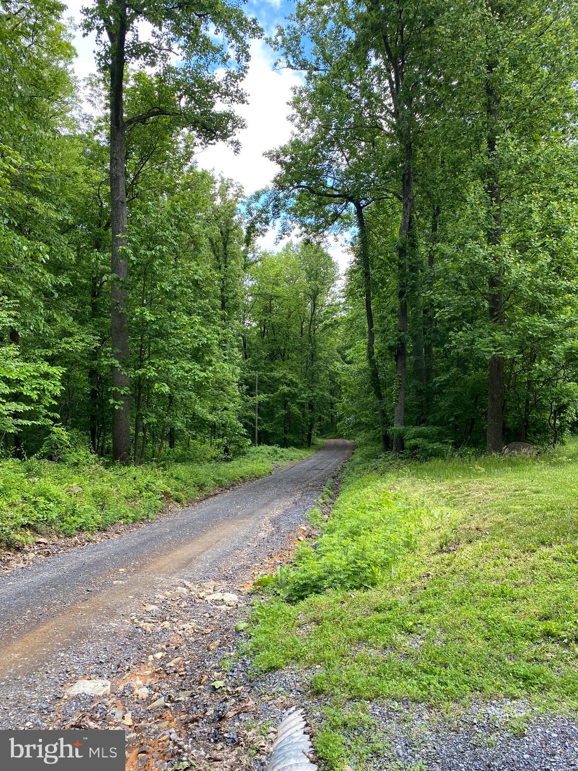 1971 High Top Road Linden, VA 22642 - Photo 30 of 33