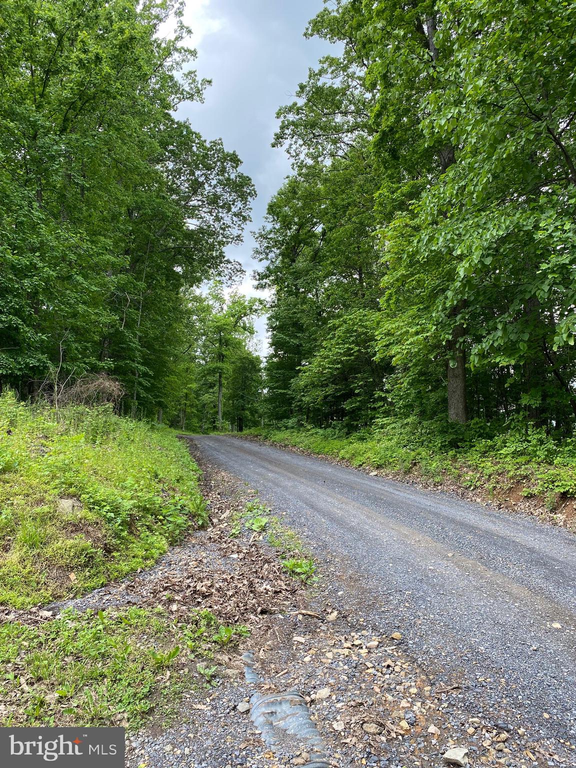 1971 High Top Road Linden, VA 22642 - Photo 31 of 33