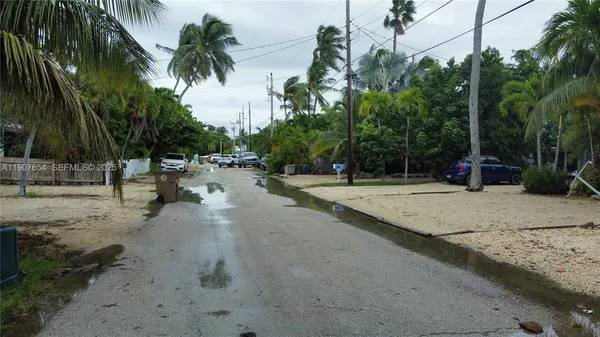 a view of a park with palm trees
