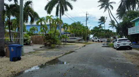 a view of a street with palm trees