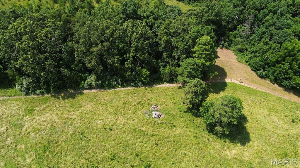 Tbd Walker Street Licking, MO 65542 - Photo 19 of 38