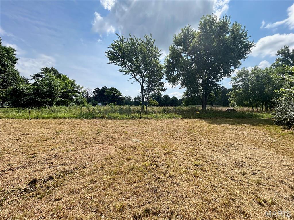 Tbd Walker Street Licking, MO 65542 - Photo 24 of 38