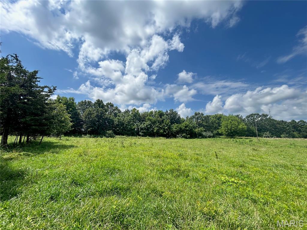 Tbd Walker Street Licking, MO 65542 - Photo 28 of 38