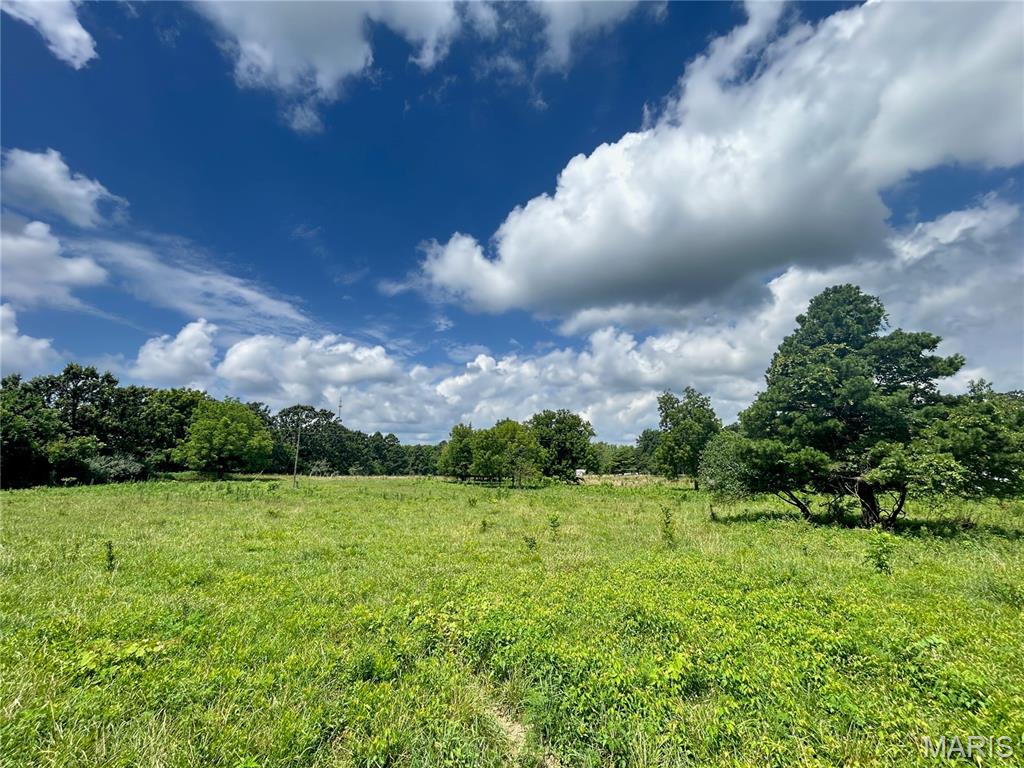 Tbd Walker Street Licking, MO 65542 - Photo 29 of 38