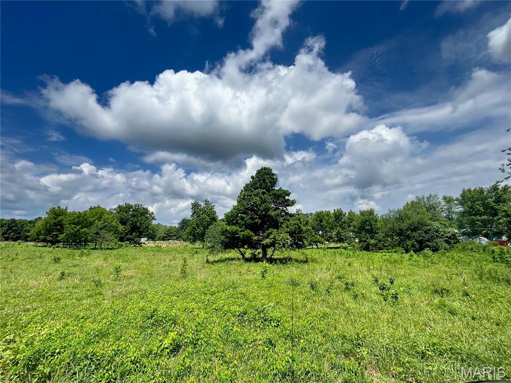 Tbd Walker Street Licking, MO 65542 - Photo 30 of 38