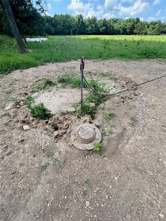 Tbd Walker Street Licking, MO 65542 - Photo 3 of 38