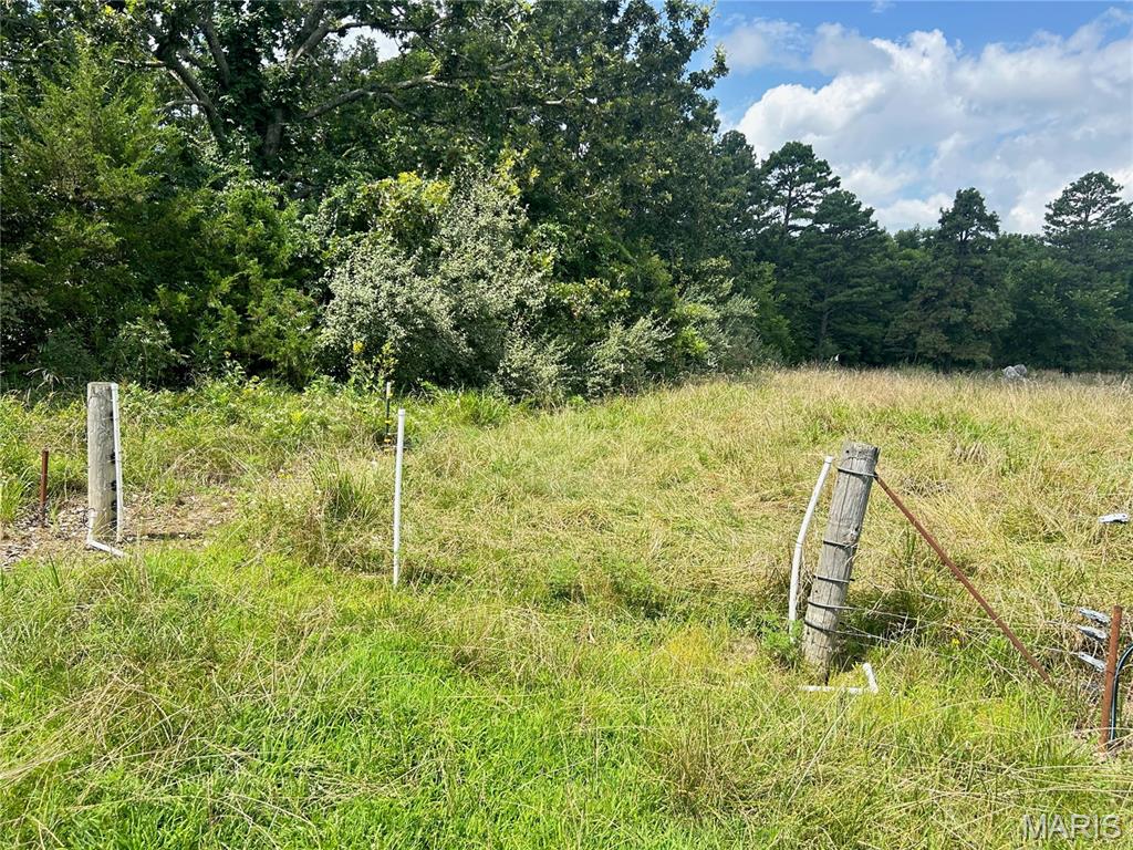 Tbd Walker Street Licking, MO 65542 - Photo 32 of 38