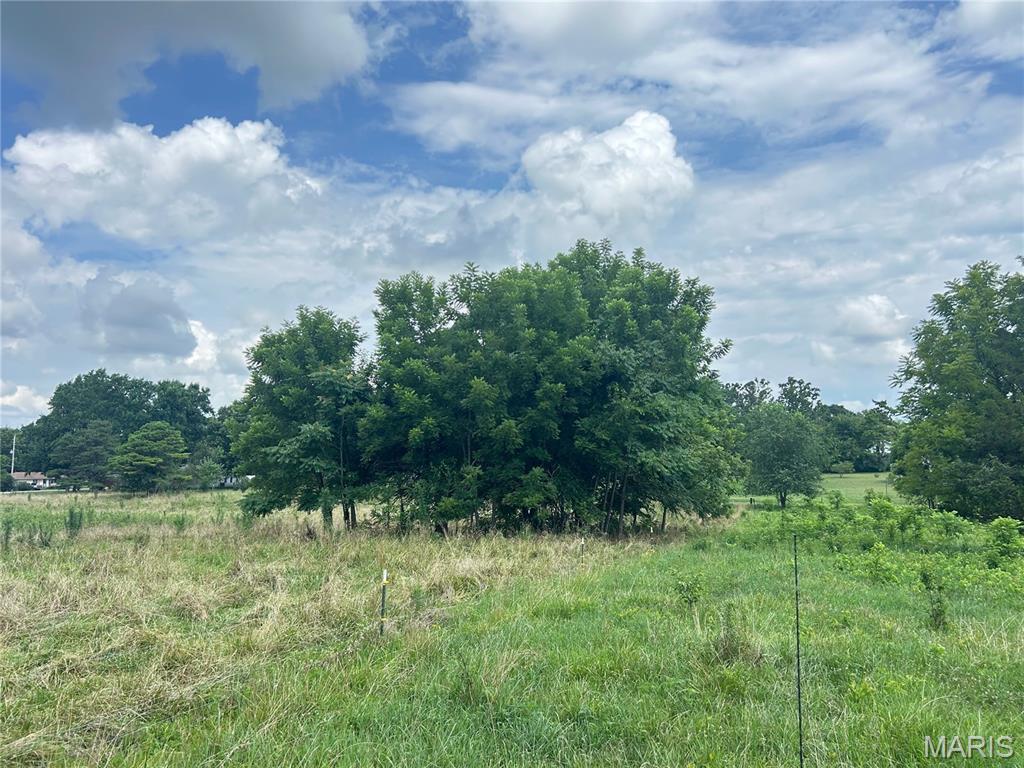 Tbd Walker Street Licking, MO 65542 - Photo 33 of 38