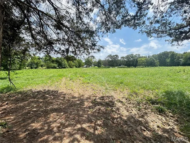 $110,000 | Tbd Walker Street, Licking, MO 65542